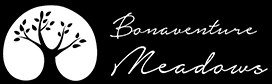 logo-footer