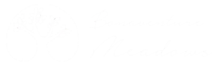 bonaventure
